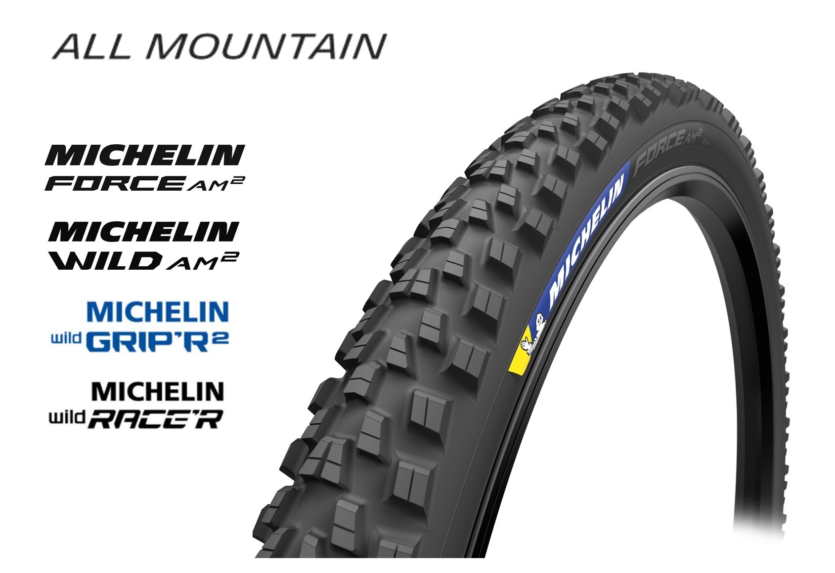 MICHELIN u2013 BRANDS OF NICHINAO