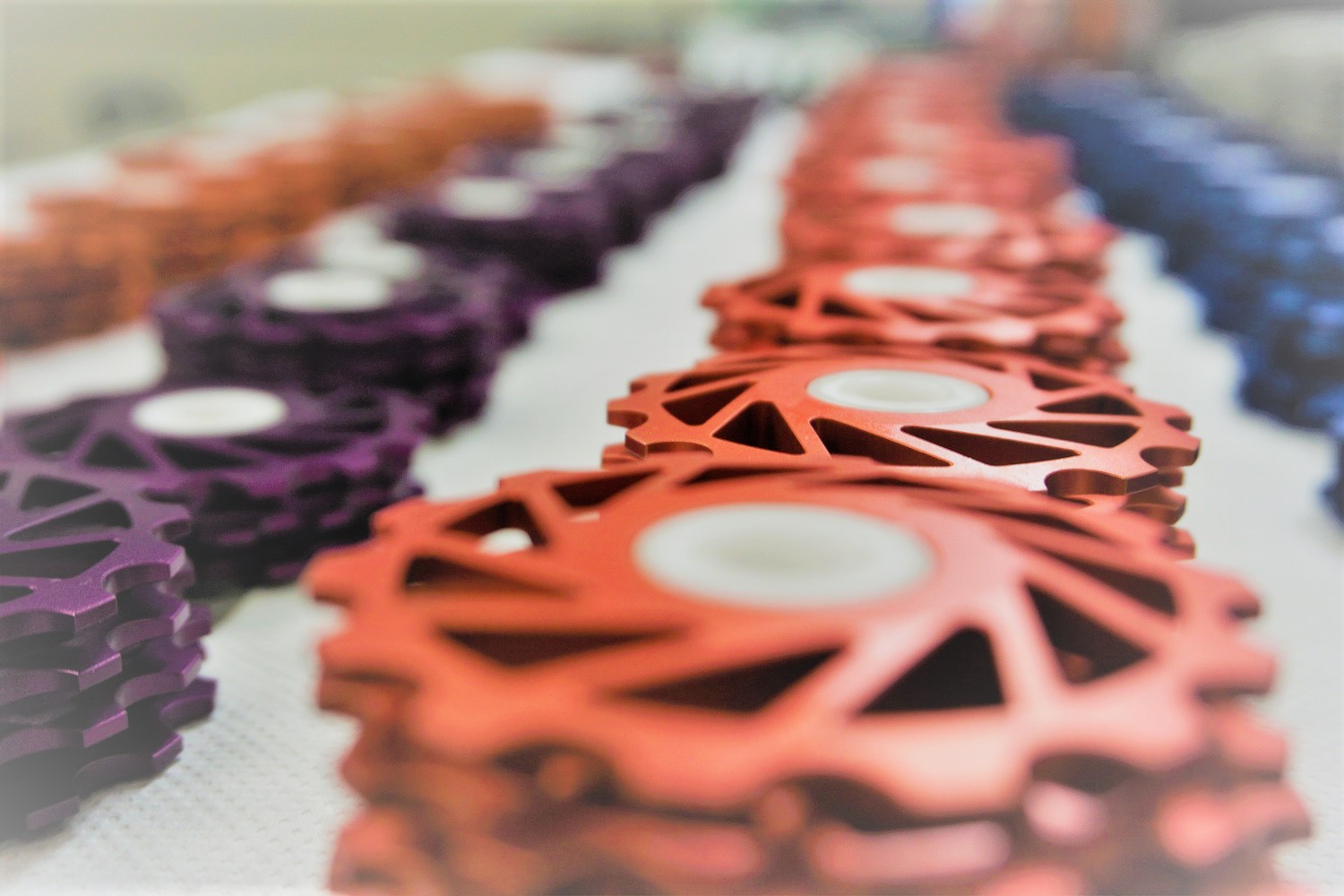 about NOVA RIDE BRANDS OF NICHINAO